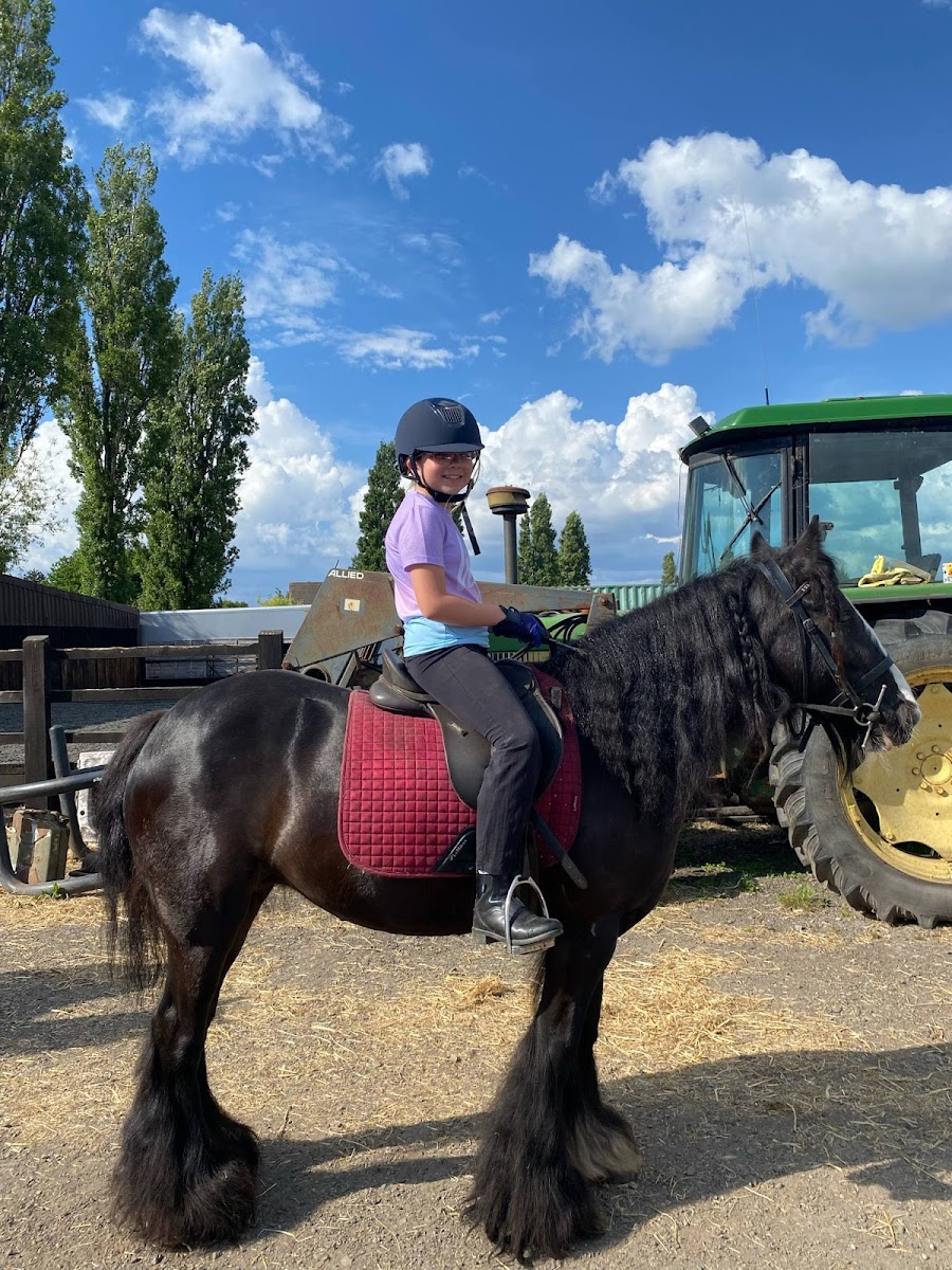 Morecambe bay equestrian centre c.i.c