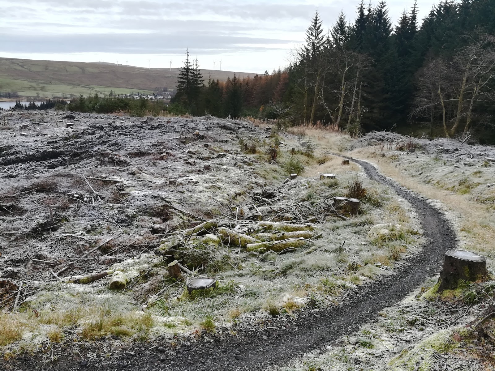 Carron Valley Mountain Bike Trails
