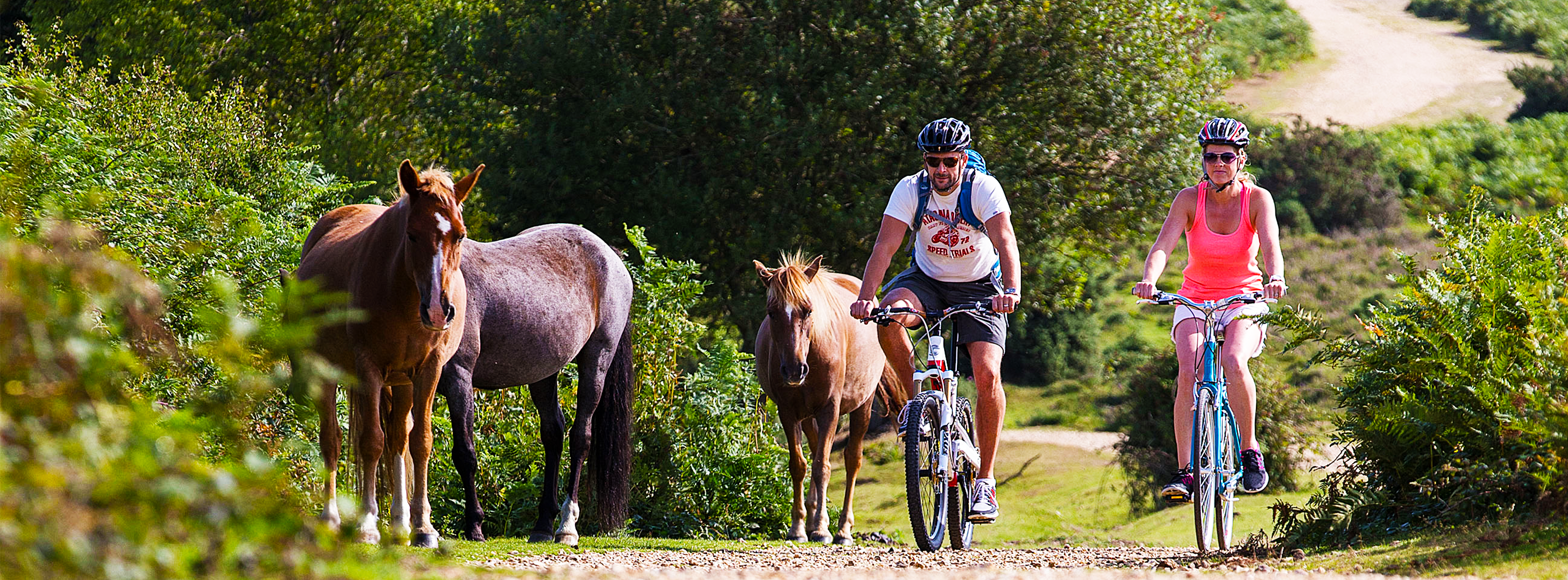 Cyclexperience Ltd (Brockenhurst)