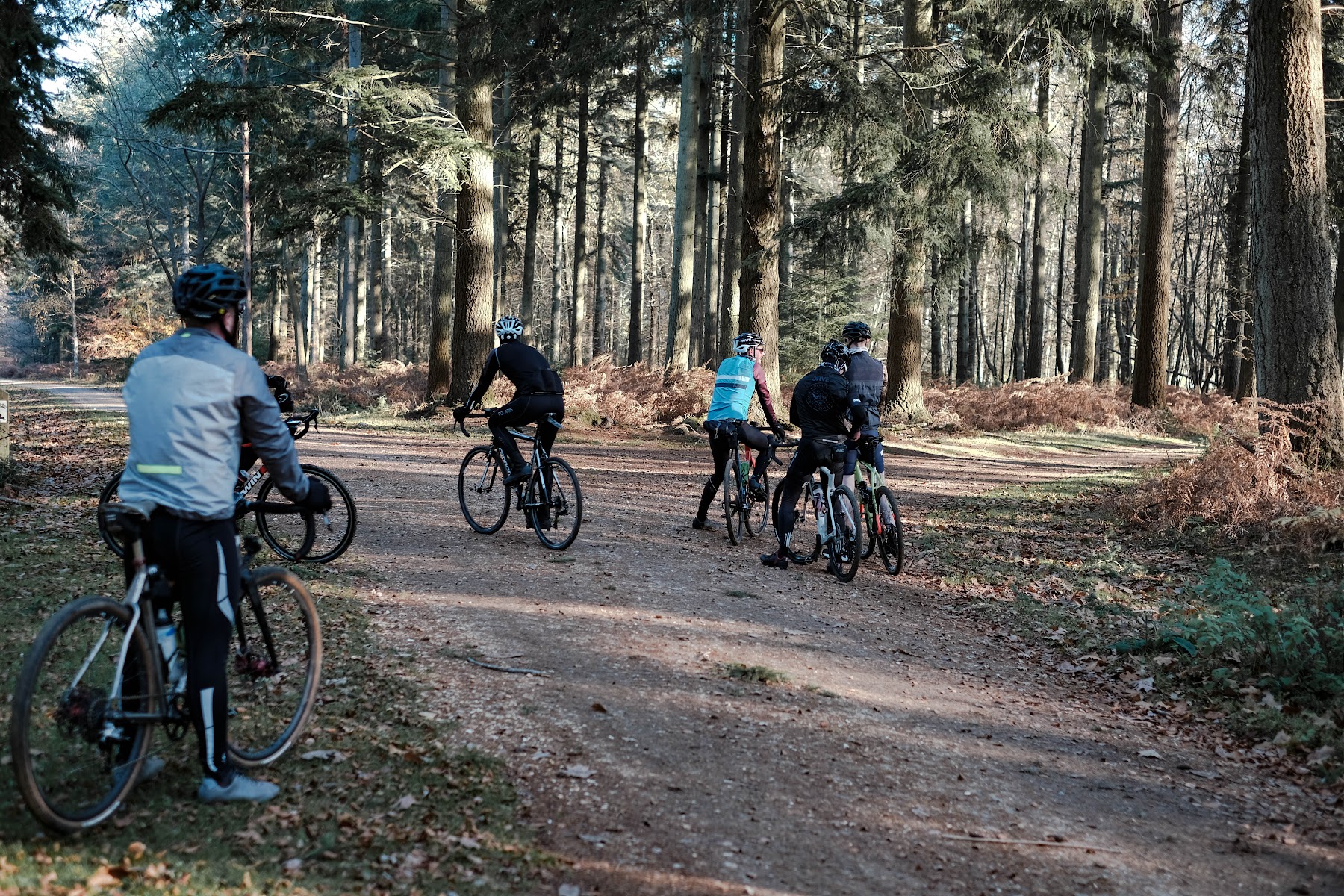 New Forest Cycling - Burley