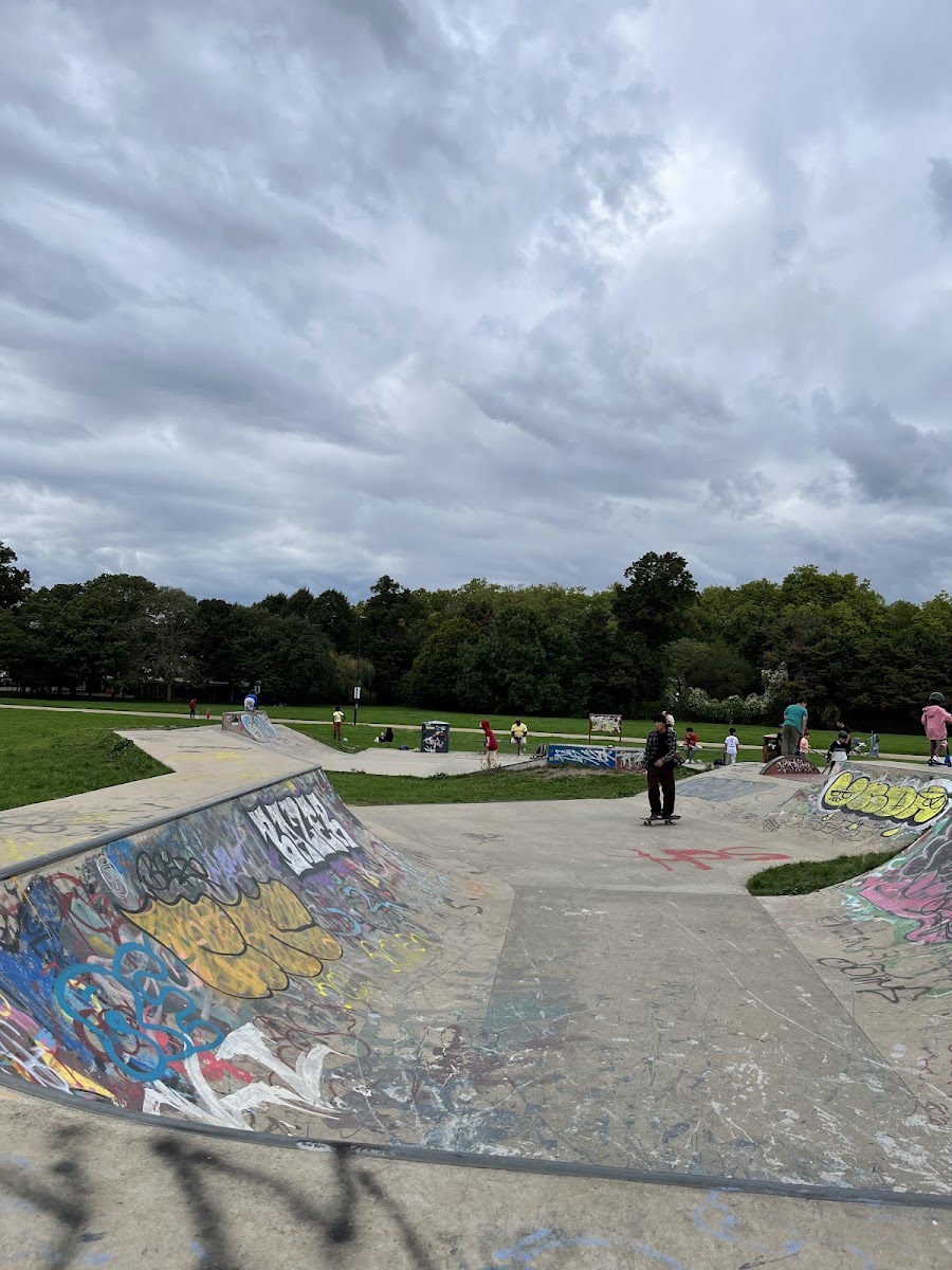 Roundwood Park Skatepark.