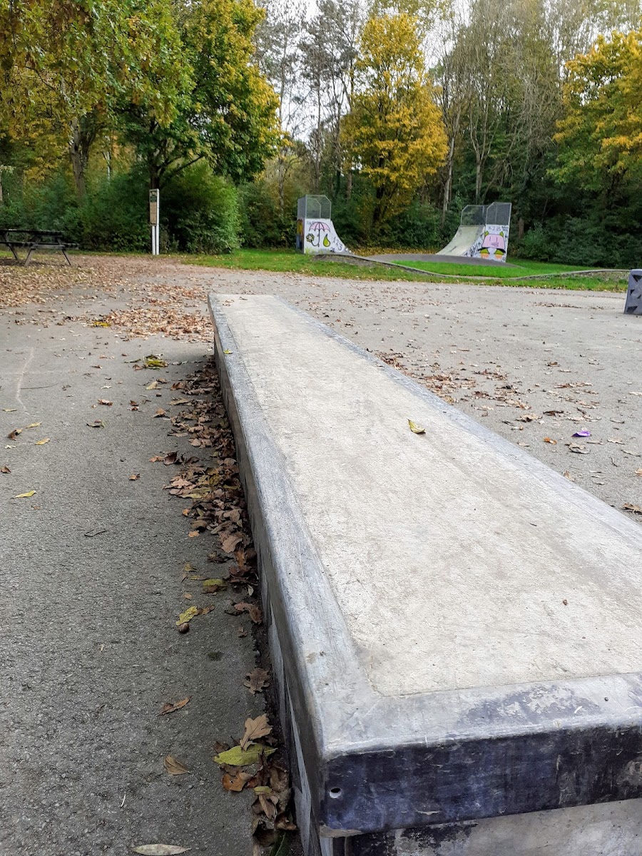 Birchwood Skate Park