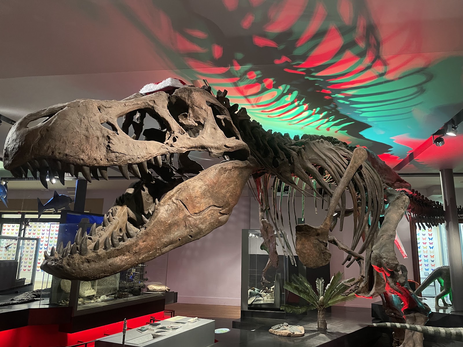The Natural History Society Of Northumbria