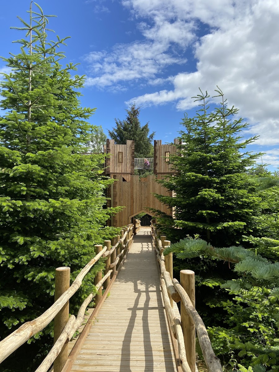 The Plotters’ Forest at Raby Castle, Park and Gardens