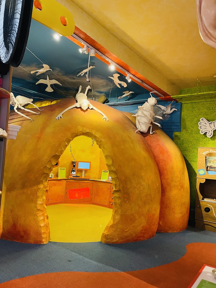 The Roald Dahl Children's Gallery