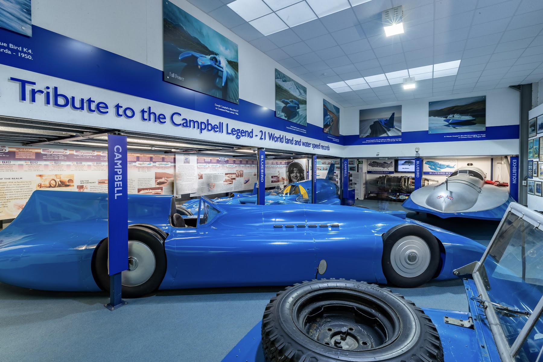 Campbell Bluebird Exhibition