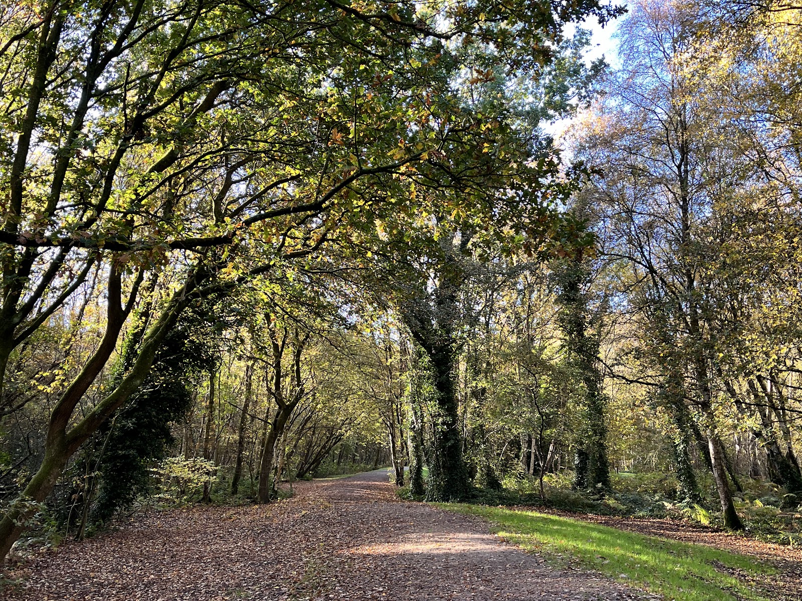 Risley Moss Local Nature Reserve Visitor Centre