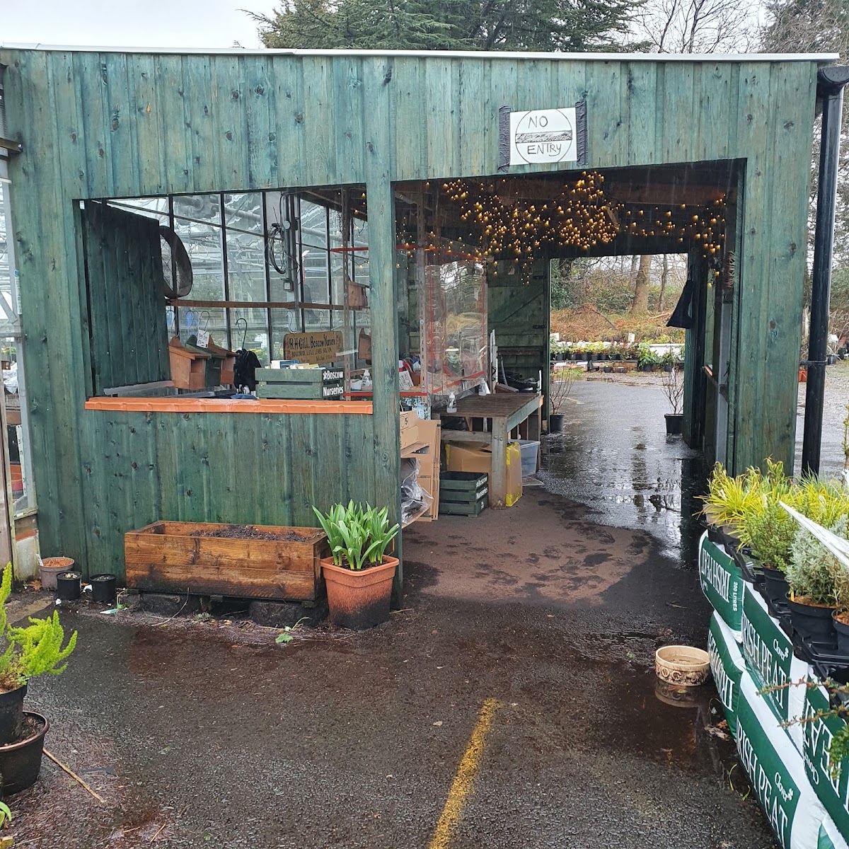 Boscow Nurseries Ltd (R H Gill)