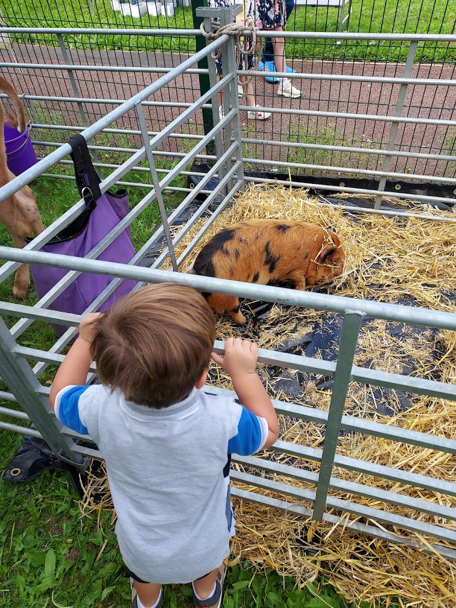 Marfleet Family Hub