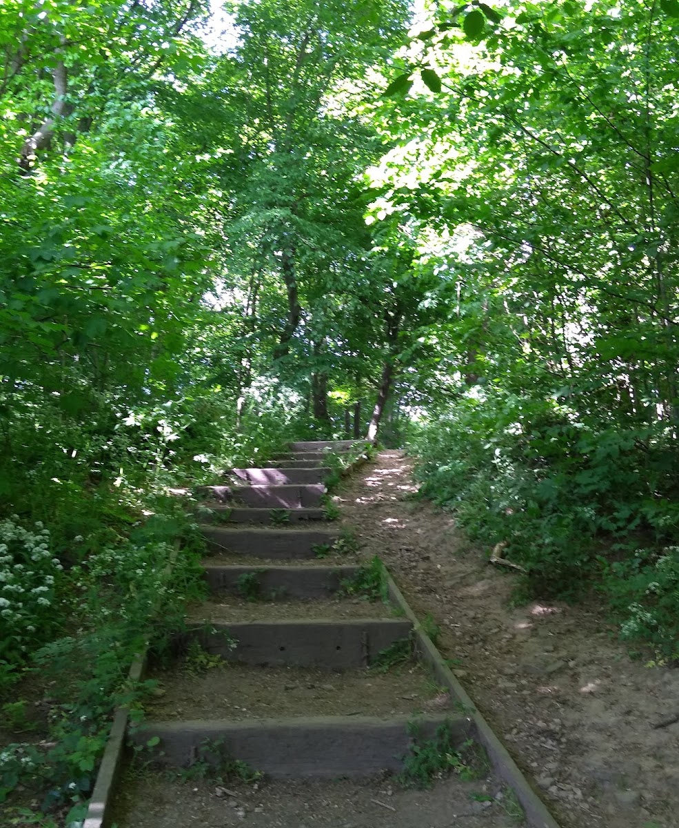 Woolley Wood Playground