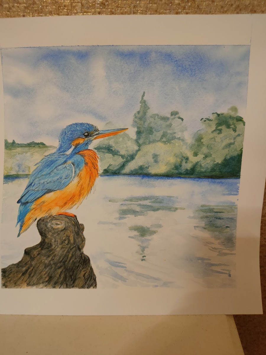 Terry O'Toole's Painting Classes Preston