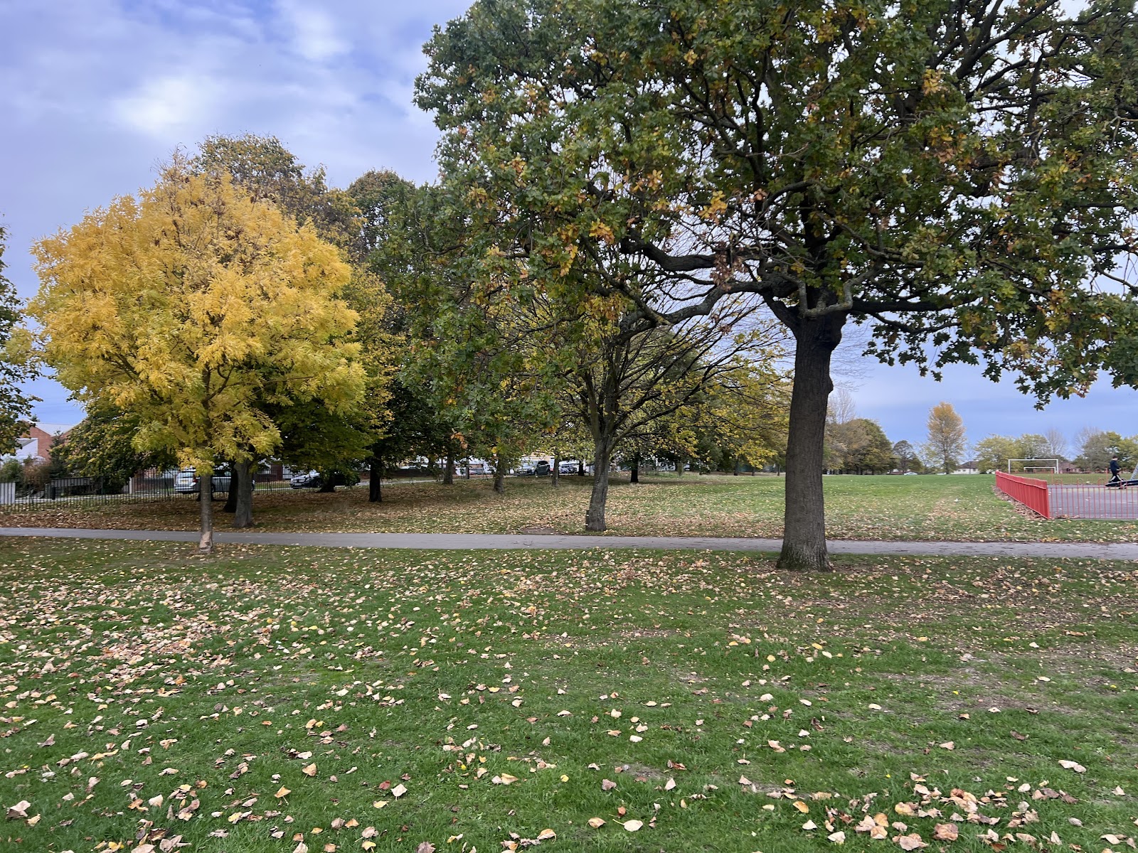 Sandall Park Playground