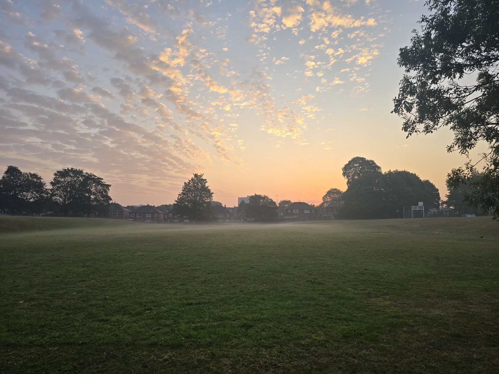 Westfield Park