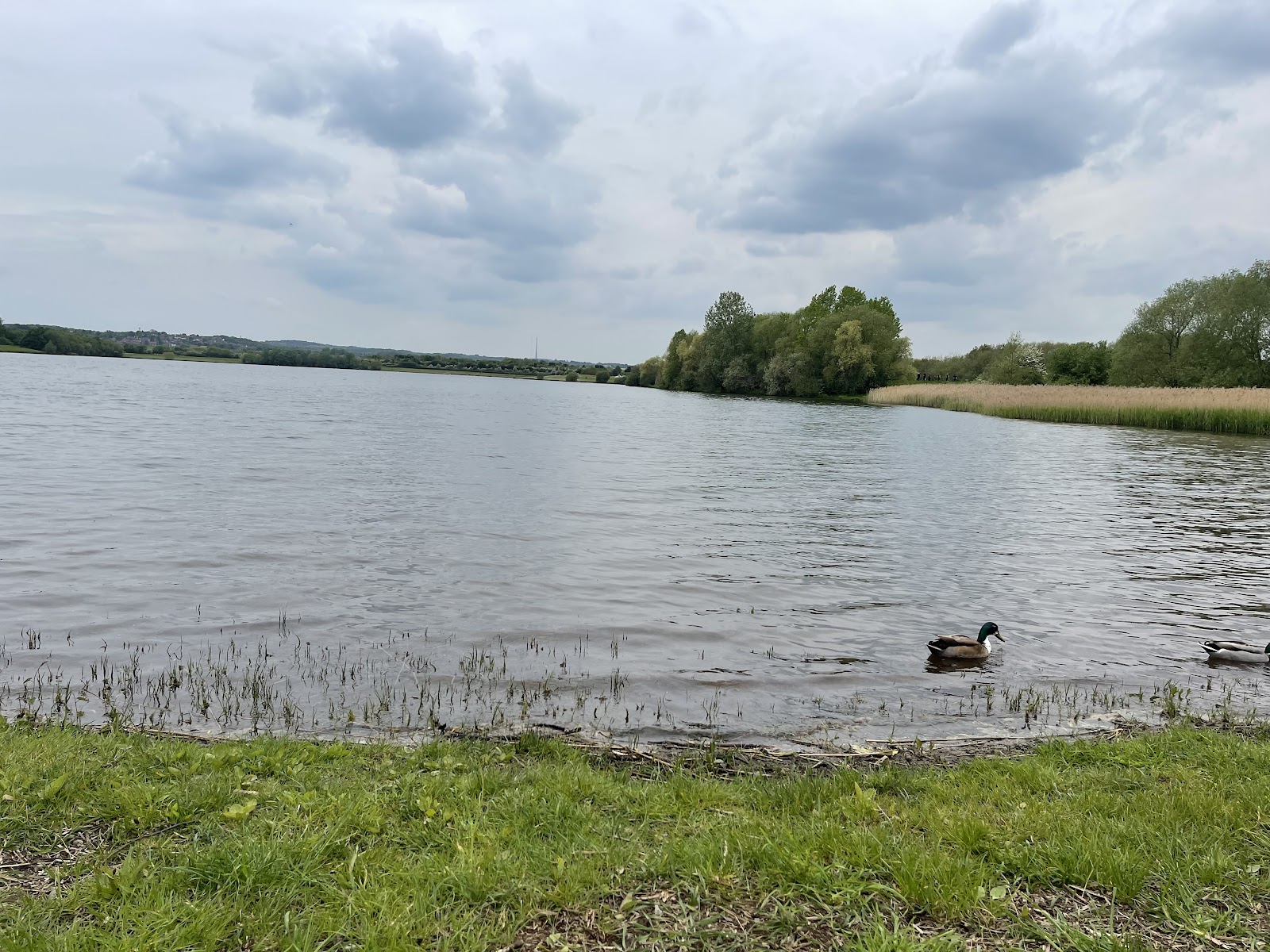 Hedleys Park