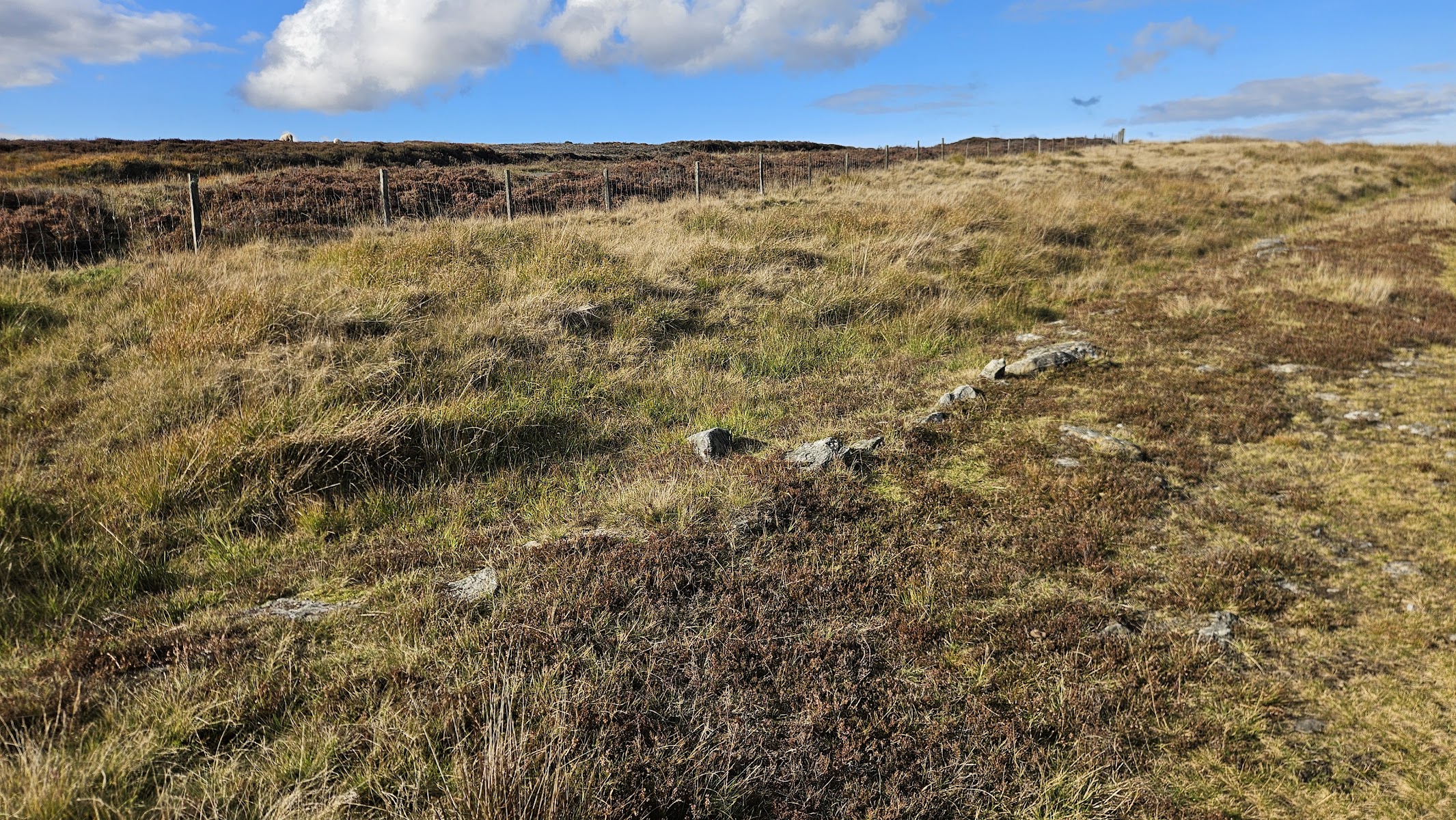 Wheeldale Roman Road