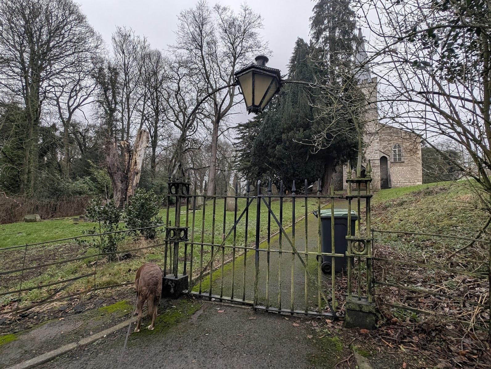 Wrought Iron Gates