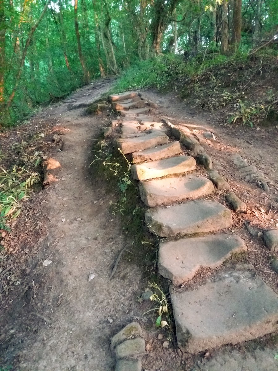 Forty Steps