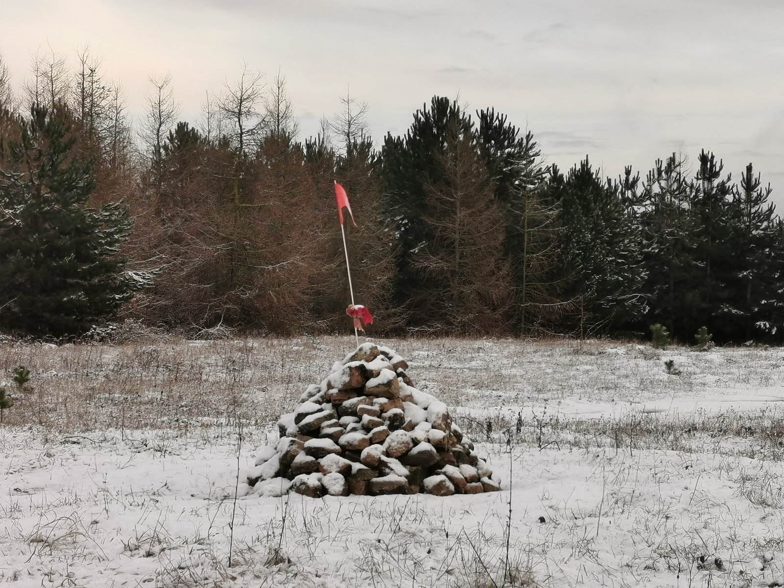 The Cairn (Edlington Pitwood)