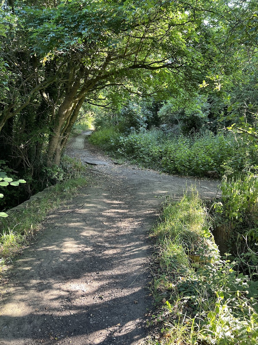 Roman Ridge cobbled bridleway