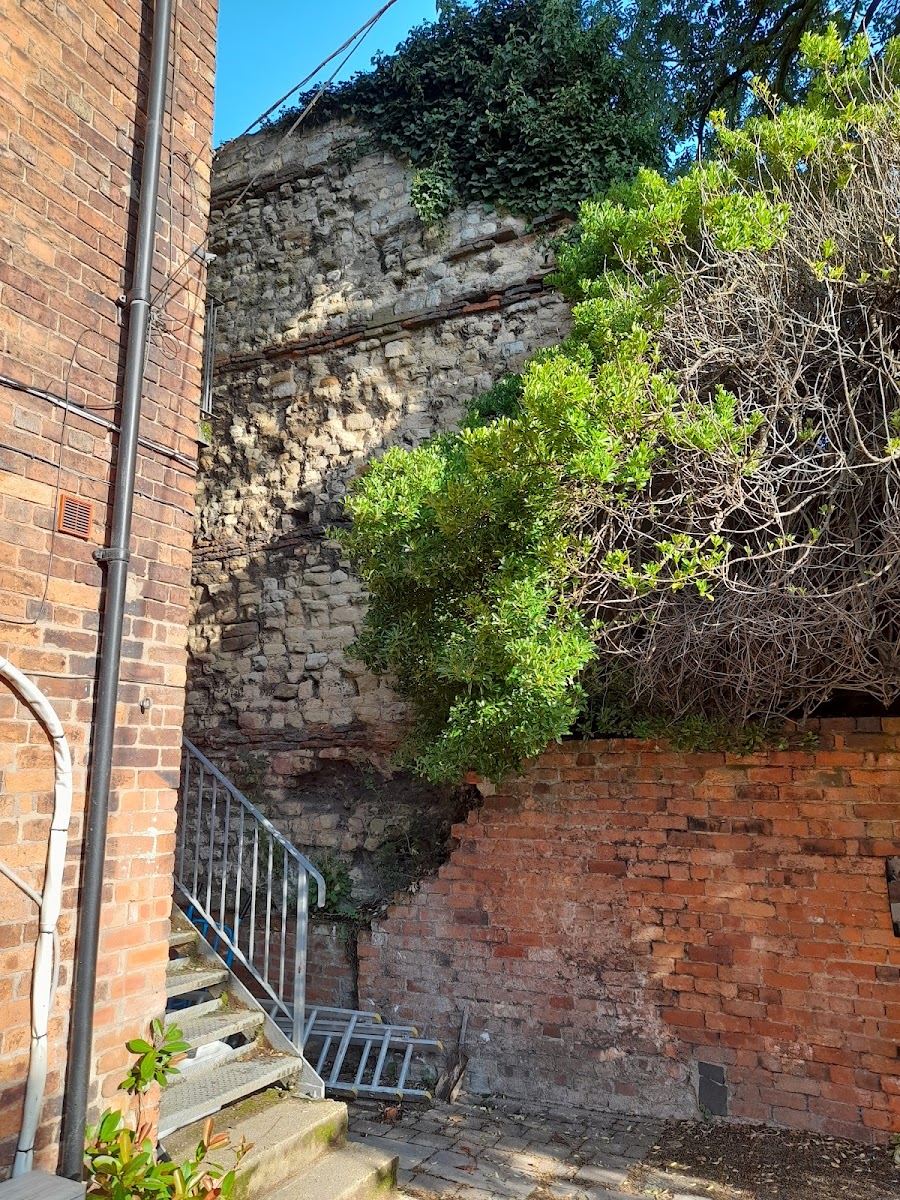 Roman Mint Wall